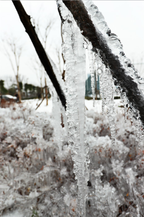 一場(chǎng)雪，體育中心美得不要不要的 但最美的風(fēng)景還是他們(圖4)