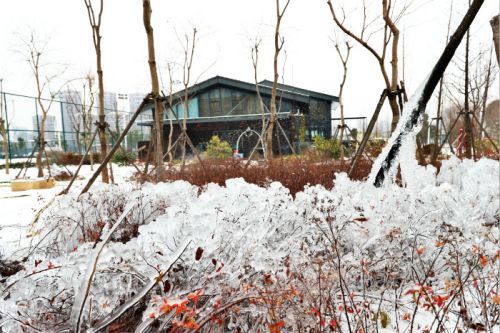 一場(chǎng)雪，體育中心美得不要不要的 但最美的風(fēng)景還是他們(圖3)