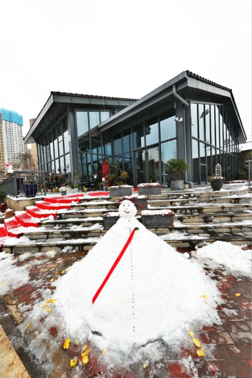 一場(chǎng)雪，體育中心美得不要不要的 但最美的風(fēng)景還是他們(圖11)